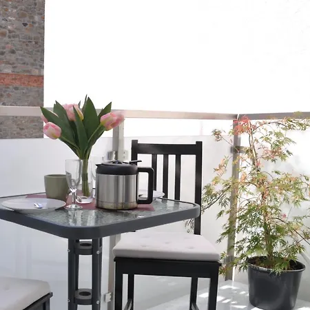 Grosses Offenes Loft Oder Kleine Gemuetliche Wohnung Mit Balkon Wolmirstedt Buitenkant foto