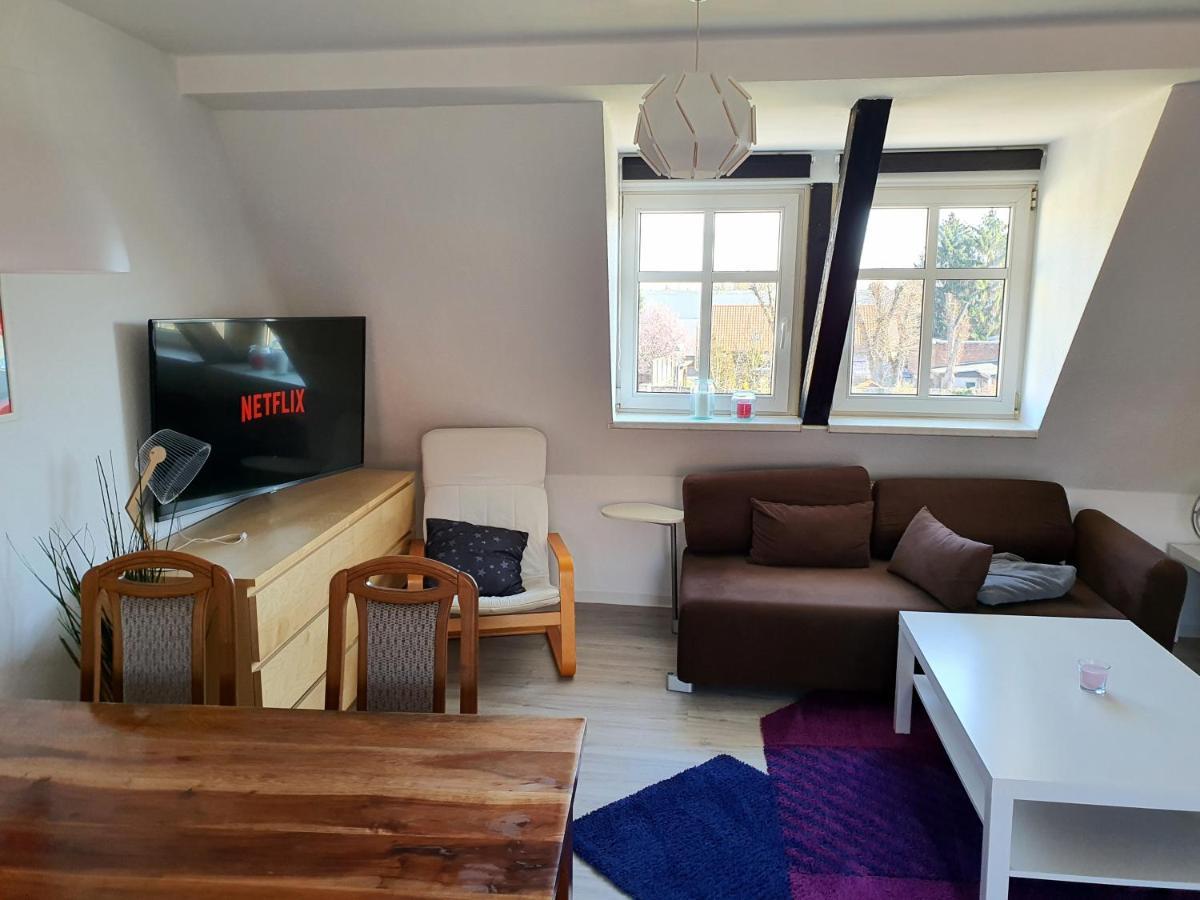 Appartement Grosses Offenes Loft Oder Kleine Gemuetliche Mit Balkon Wolmirstedt