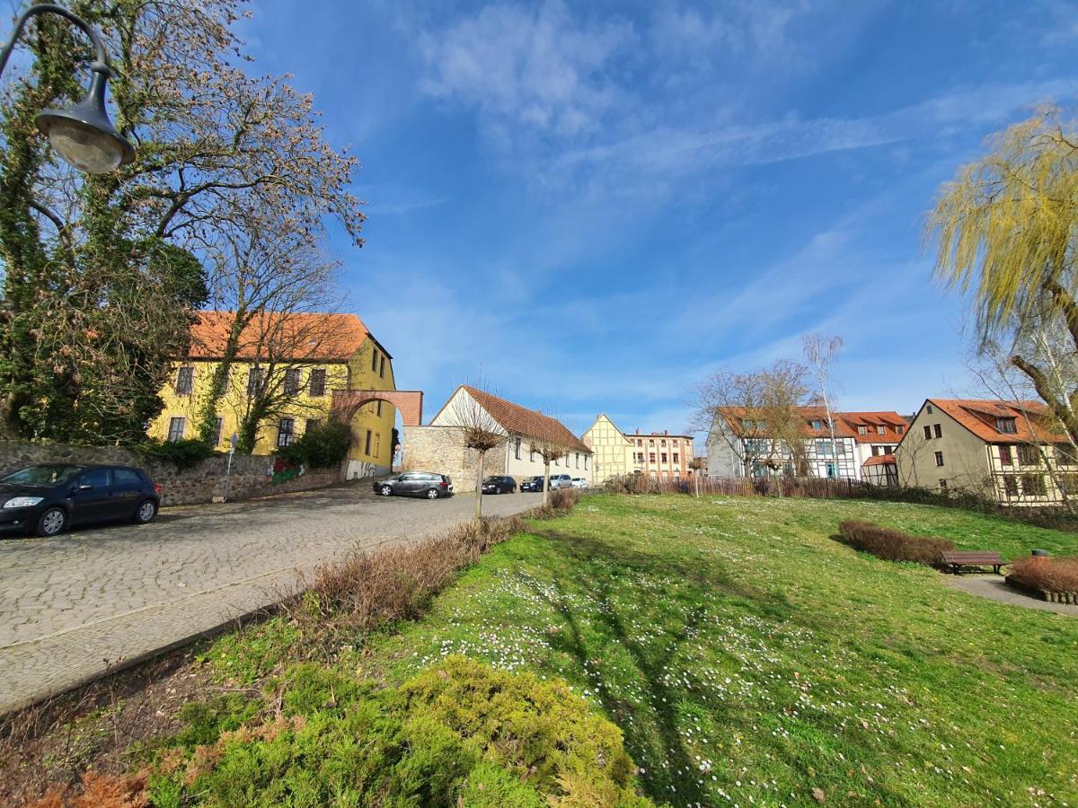 Grosses Offenes Loft Oder Kleine Gemuetliche Mit Balkon Appartement