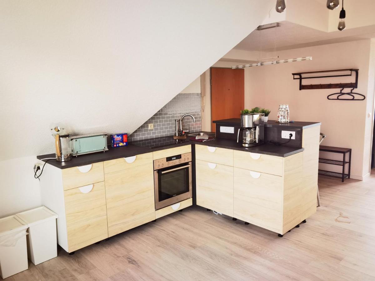 Grosses Offenes Loft Oder Kleine Gemuetliche Mit Balkon Appartement *