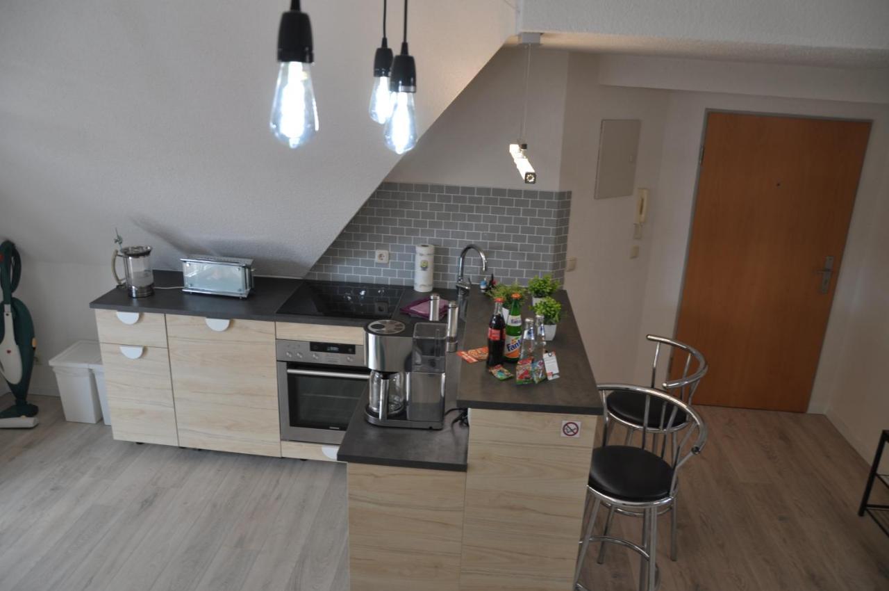 Grosses Offenes Loft Oder Kleine Gemuetliche Mit Balkon Appartement